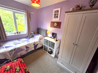 Picture 11